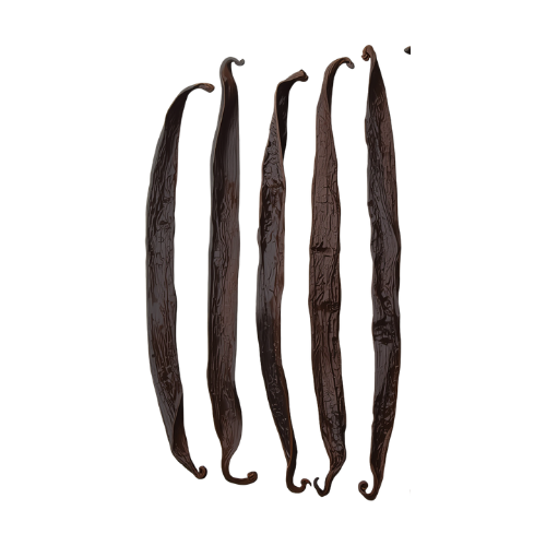 PACK DÉCOUVERTE